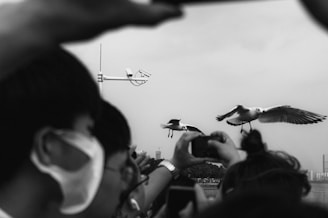 A black and white photograph captures people taking pictures of seagulls in flight. One person in the foreground wears a face mask, while others hold up their phones to capture the moment. A surveillance camera is visible in the background against a cloudy sky.