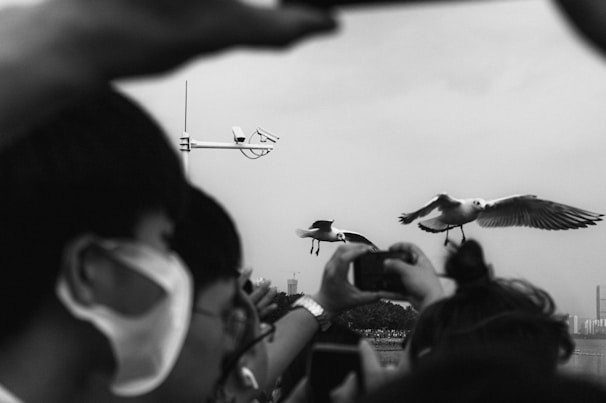 A black and white photograph captures people taking pictures of seagulls in flight. One person in the foreground wears a face mask, while others hold up their phones to capture the moment. A surveillance camera is visible in the background against a cloudy sky.