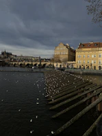 A riverfront scene featuring a row of structures extending into the water, with numerous birds perched on them. Elegant historic buildings are visible on the right, with a bridge and distant architecture in the background under a cloudy sky.