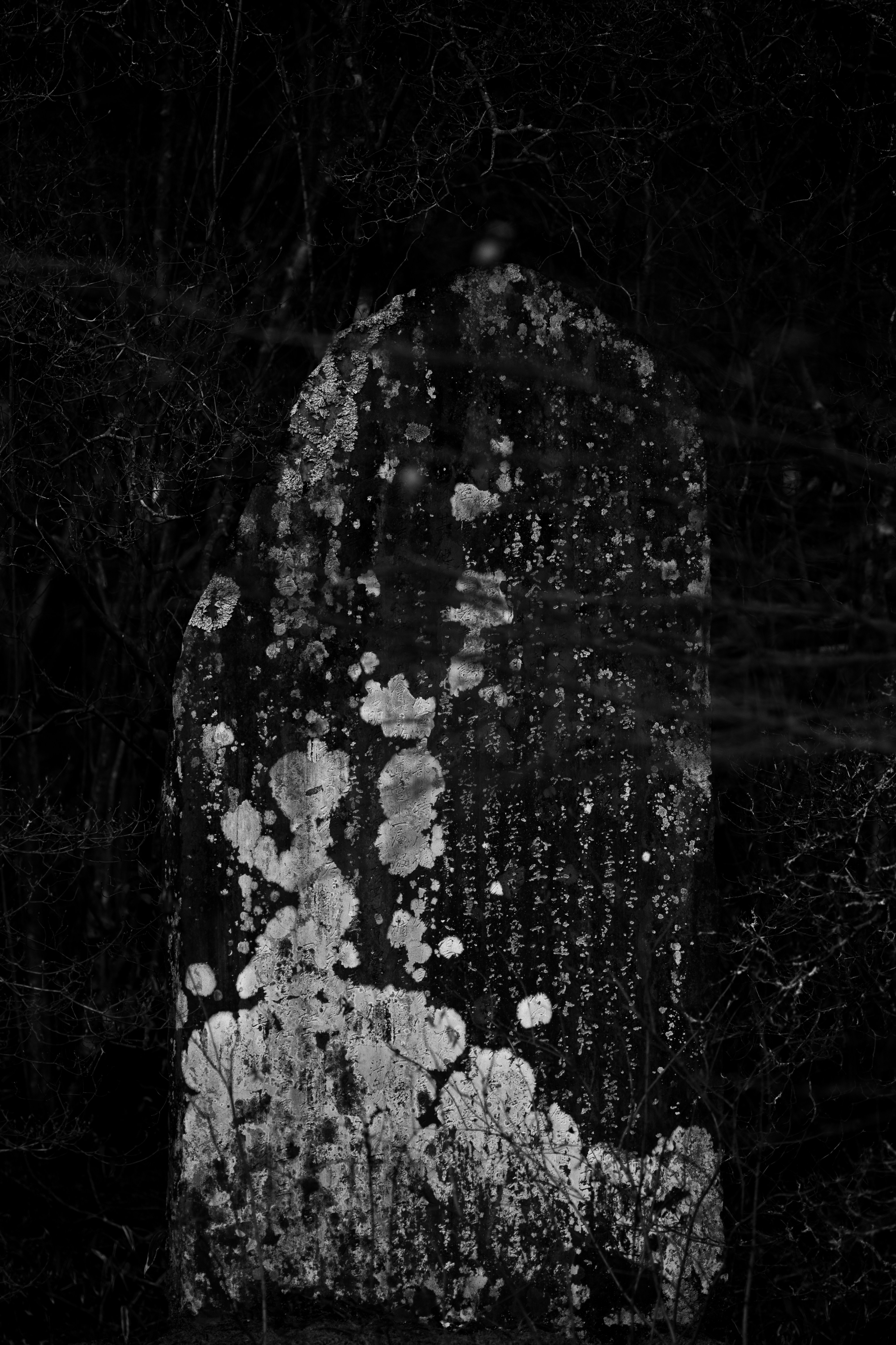 Photo by fabianbaechli