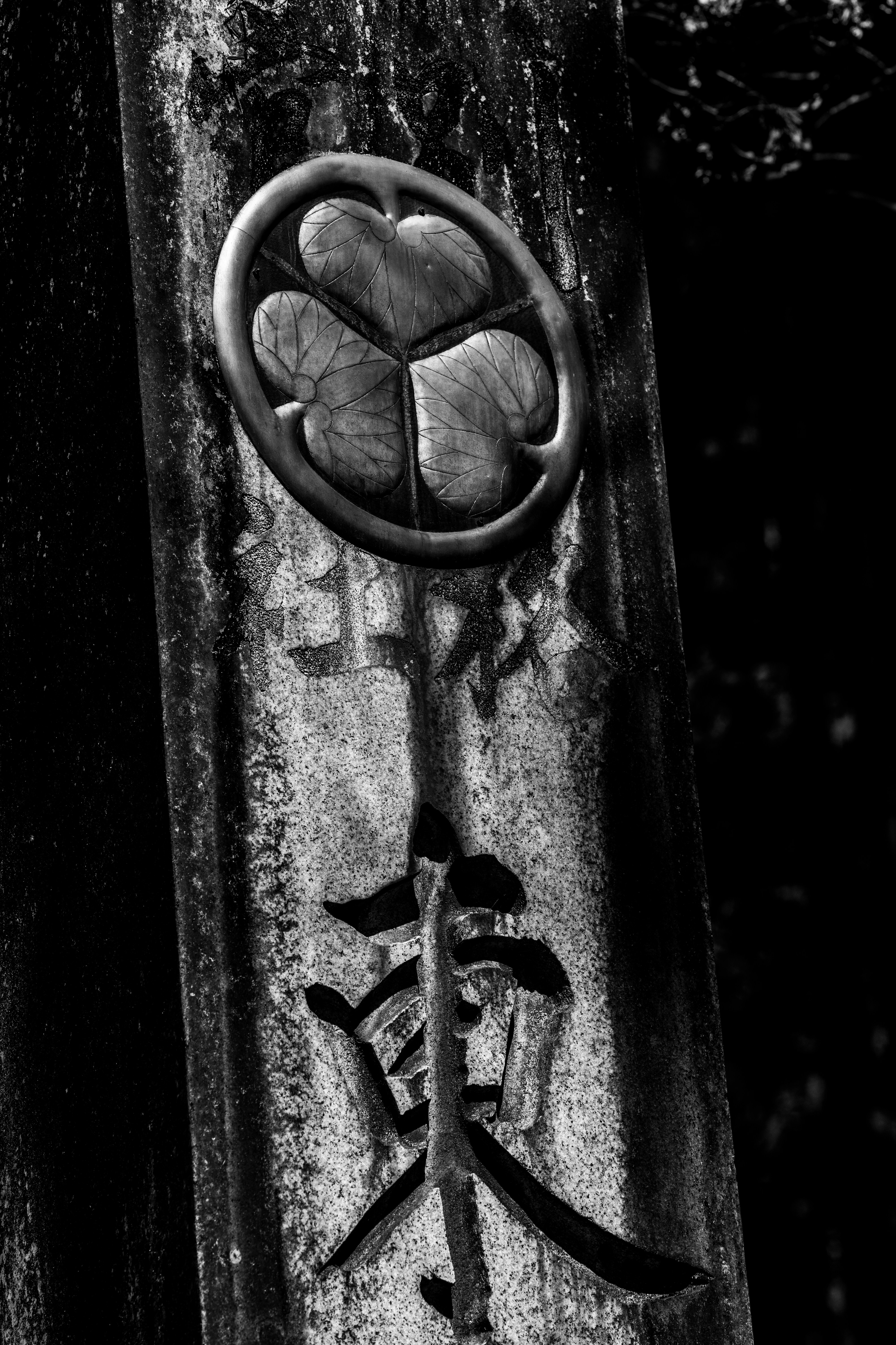 Photo by fabianbaechli