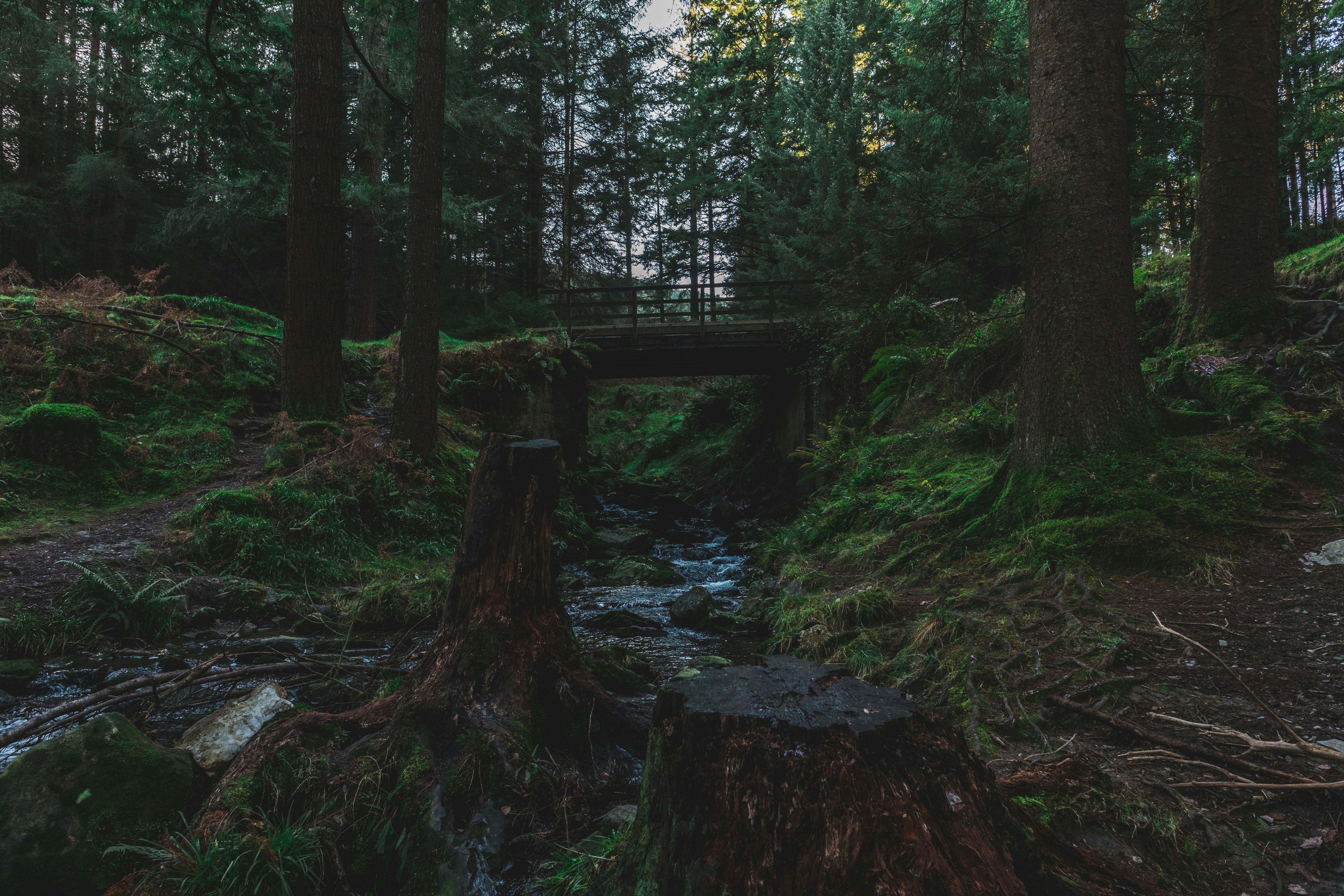 Photo by _picturesbyluke_