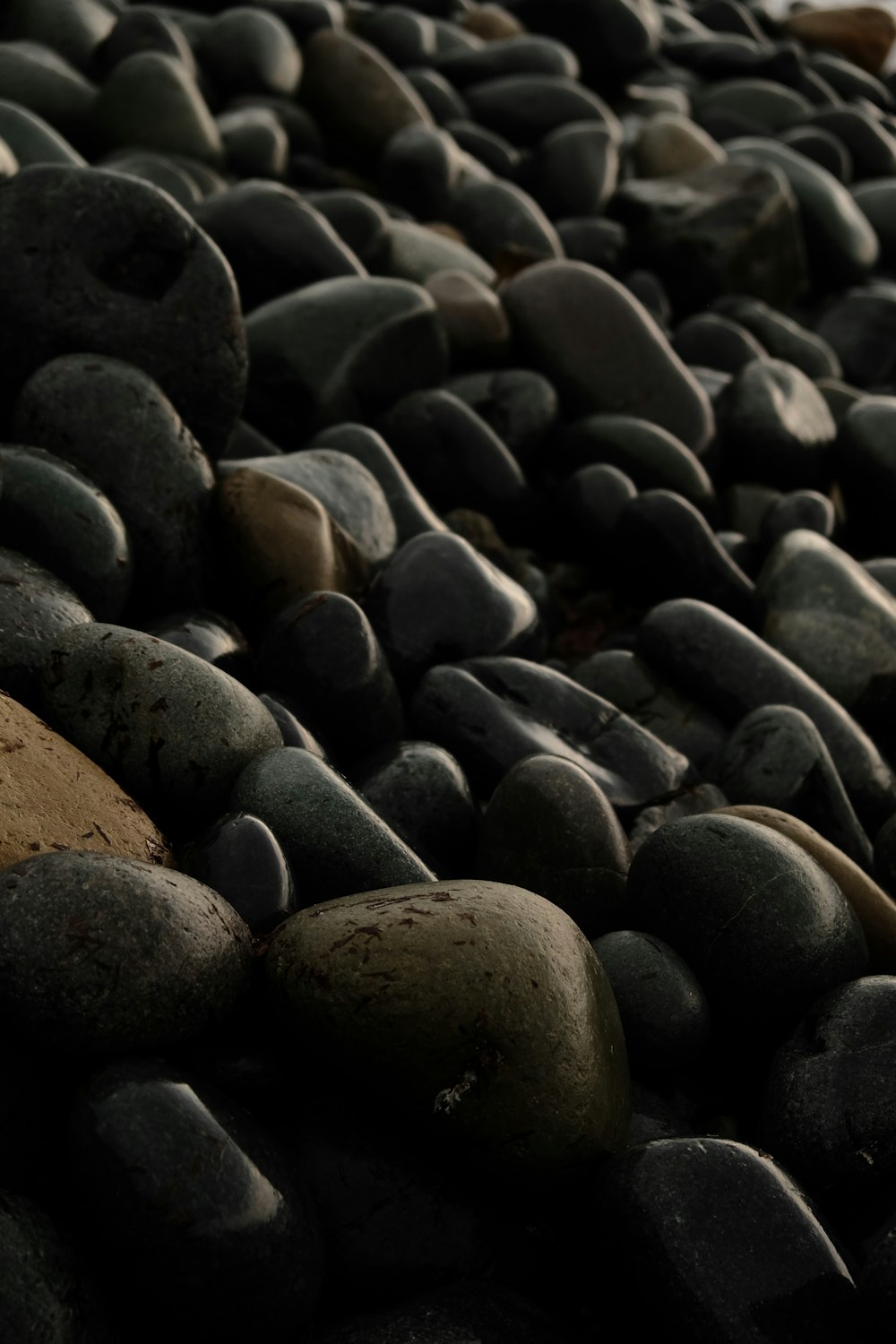 a pile of rocks sitting next to each other