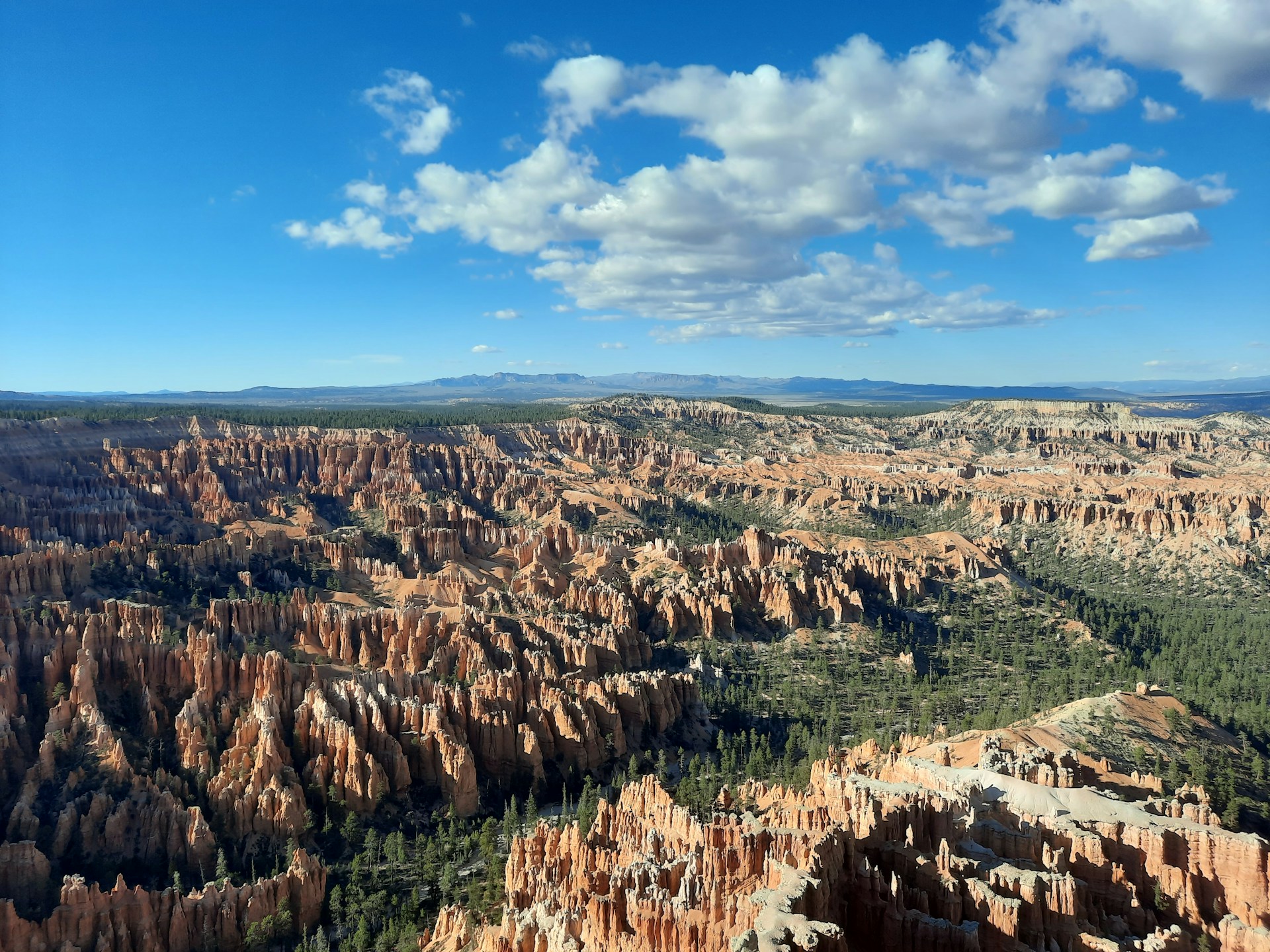 woman wearing yellow long-sleeved dress under white clouds and blue sky during daytime