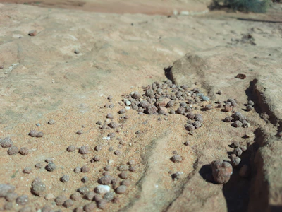 Close-up view of the surface of Mars showing its rocky terrain and dust storms