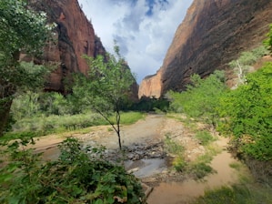 A serene canyon landscape symbolizing growth and stability.