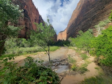 A serene canyon landscape featuring tall, rugged cliffs on either side. The area is rich with greenery including various shrubs and trees, enveloping a dry creek bed running through the center. Shadows play on the canyon walls, suggesting the presence of passing clouds.