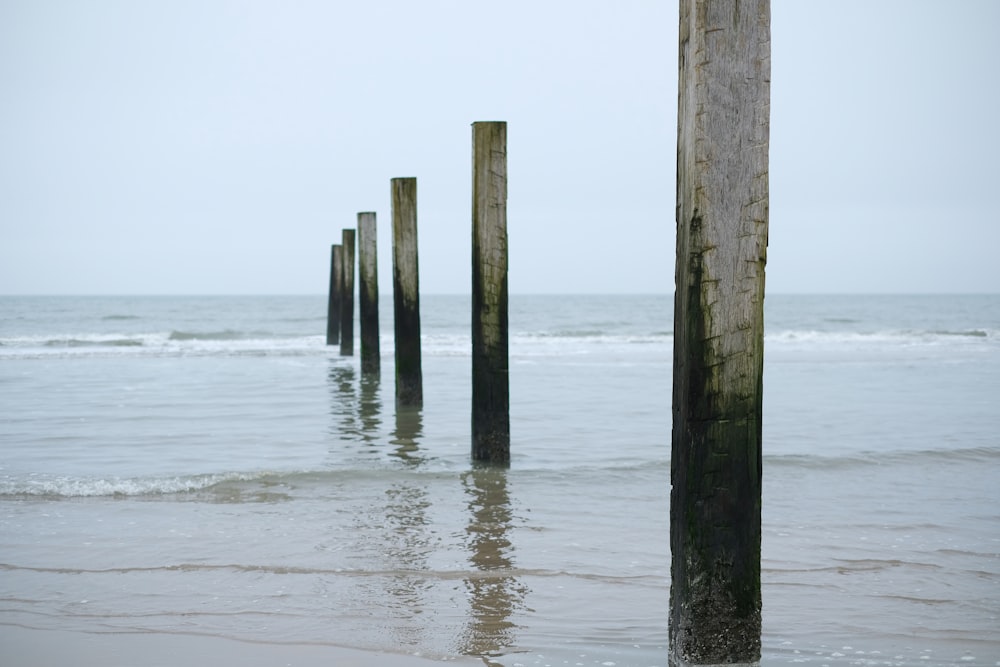 a group of wooden posts sticking out of the ocean