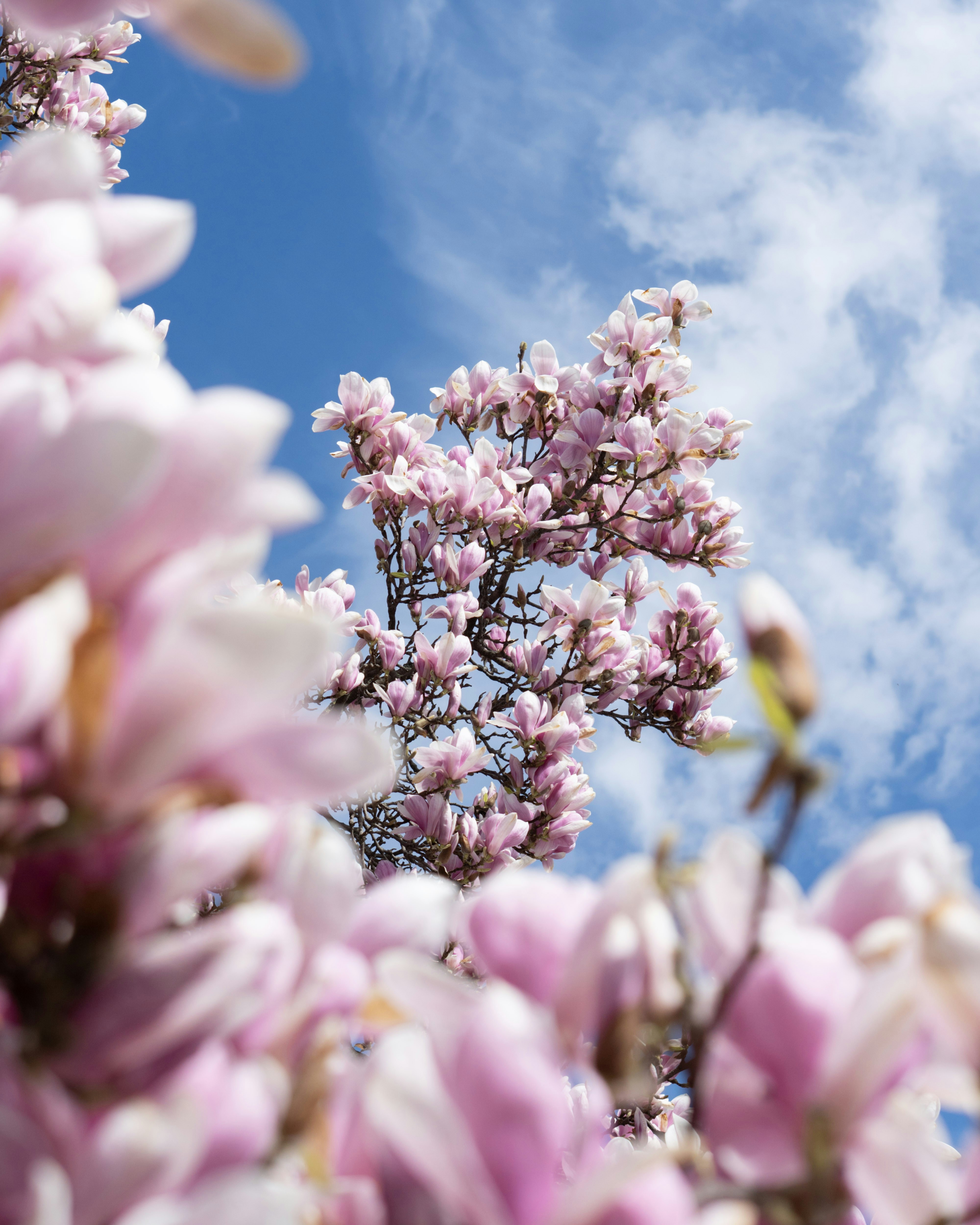 Photo by jana_soumyadip