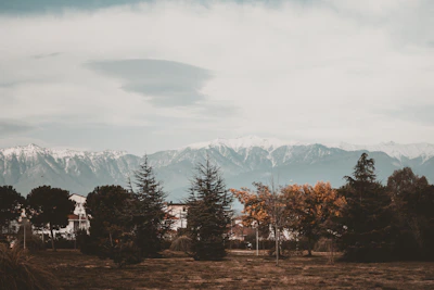 A serene Colorado Springs landscape symbolizing steady growth.