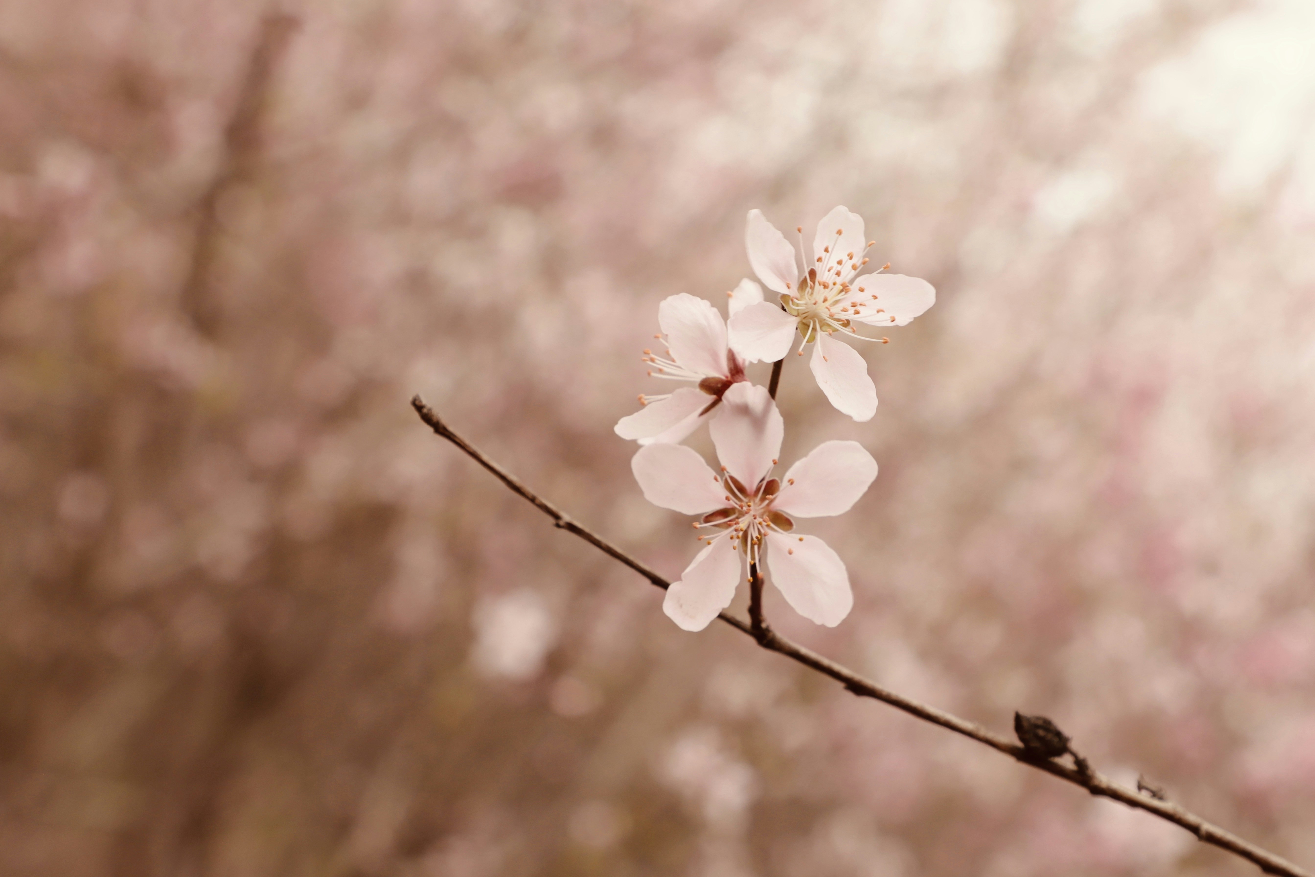 Photo by galaxyhunter