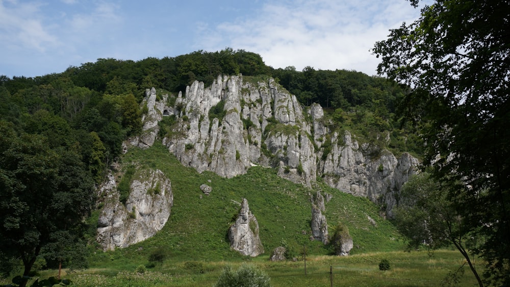 a large rock formation in the middle of a forest