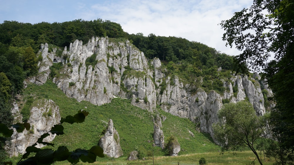 a large rock formation in the middle of a forest