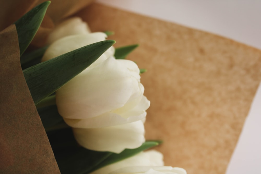 a bouquet of white tulips in a brown paper bag