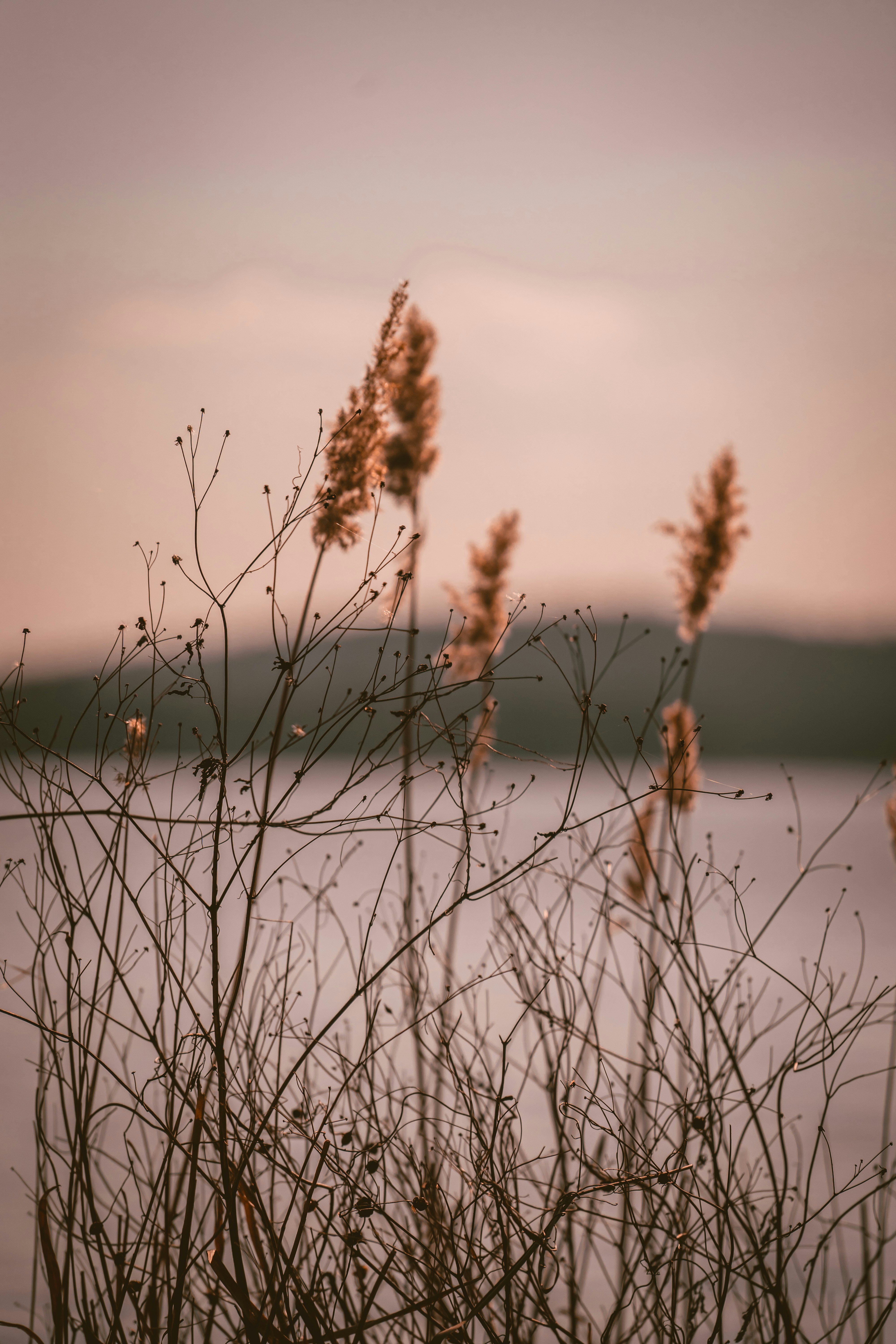 Photo by kishorevaddadi