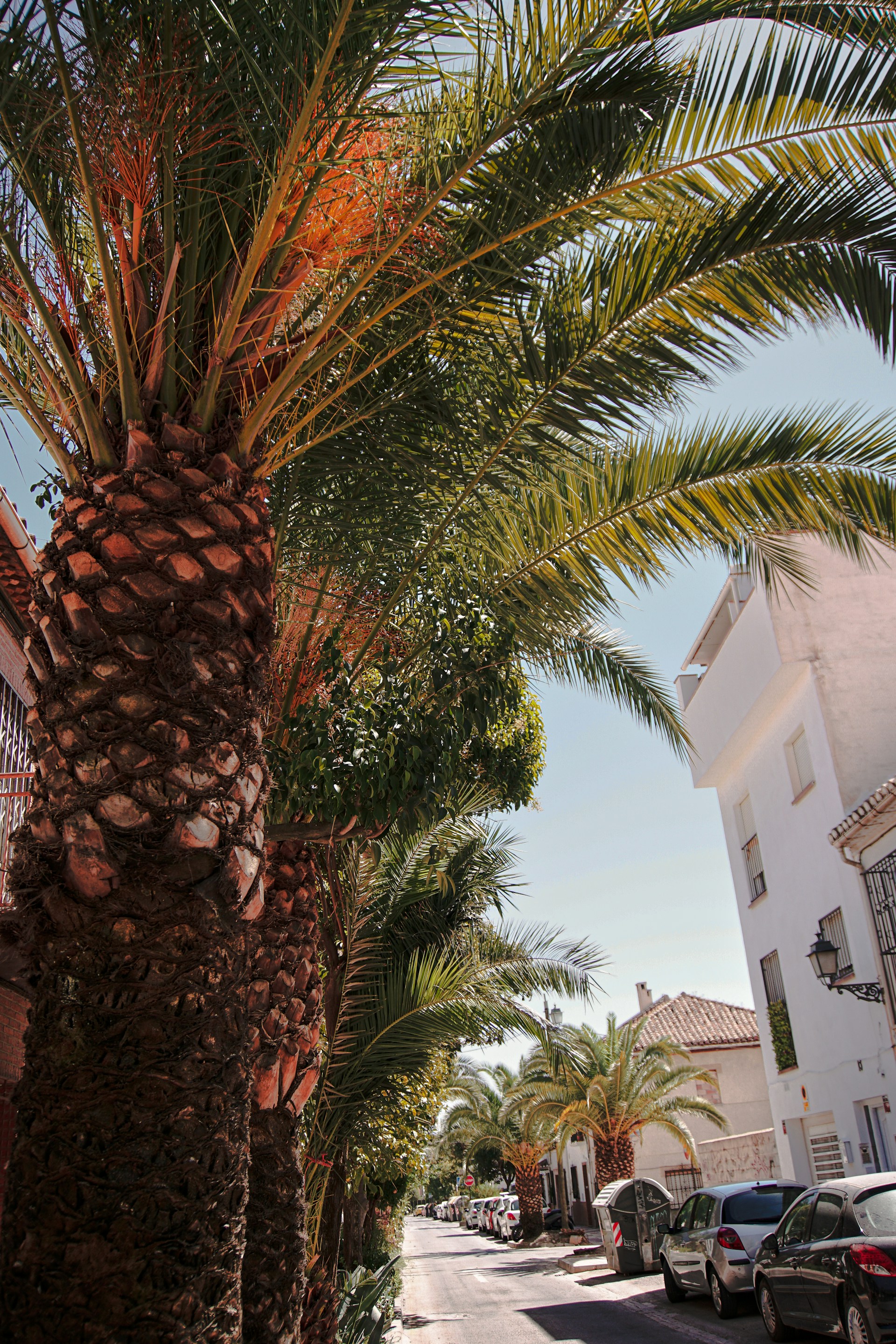 black and brown leather padded tub sofa