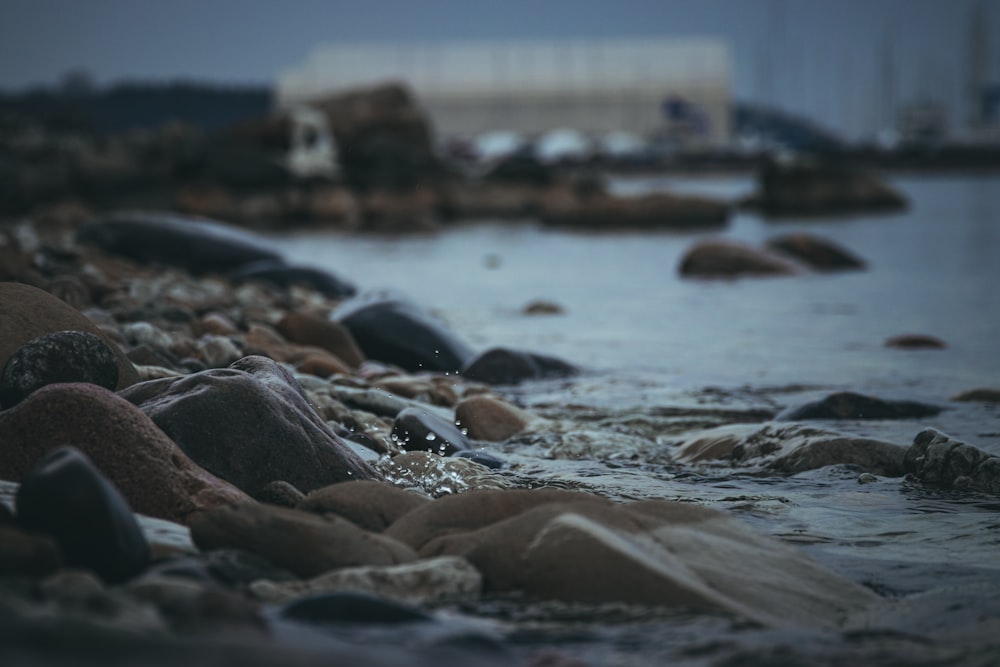 a group of rocks sitting on top of a body of water