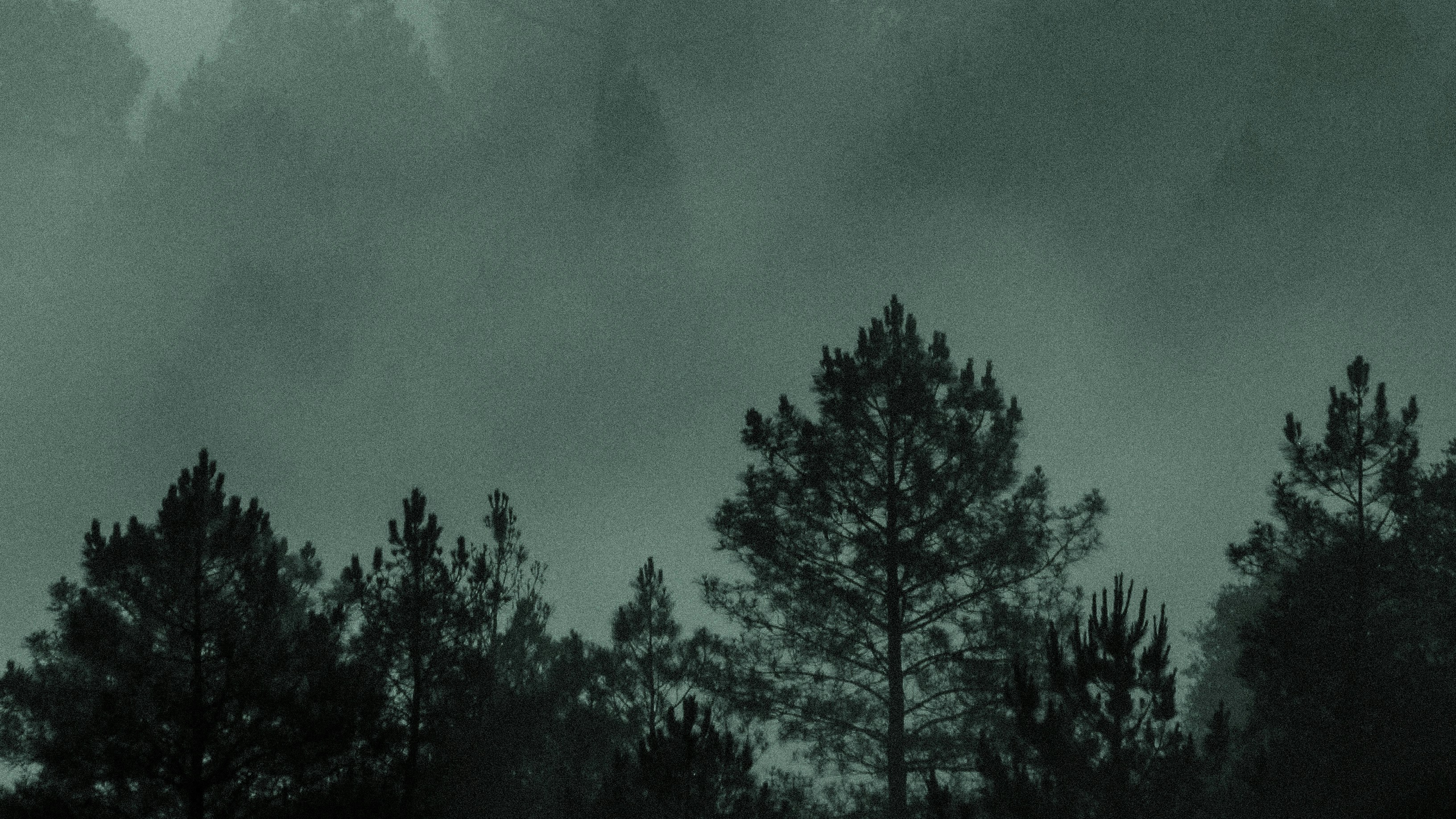 Photo by matheuscavaleiro