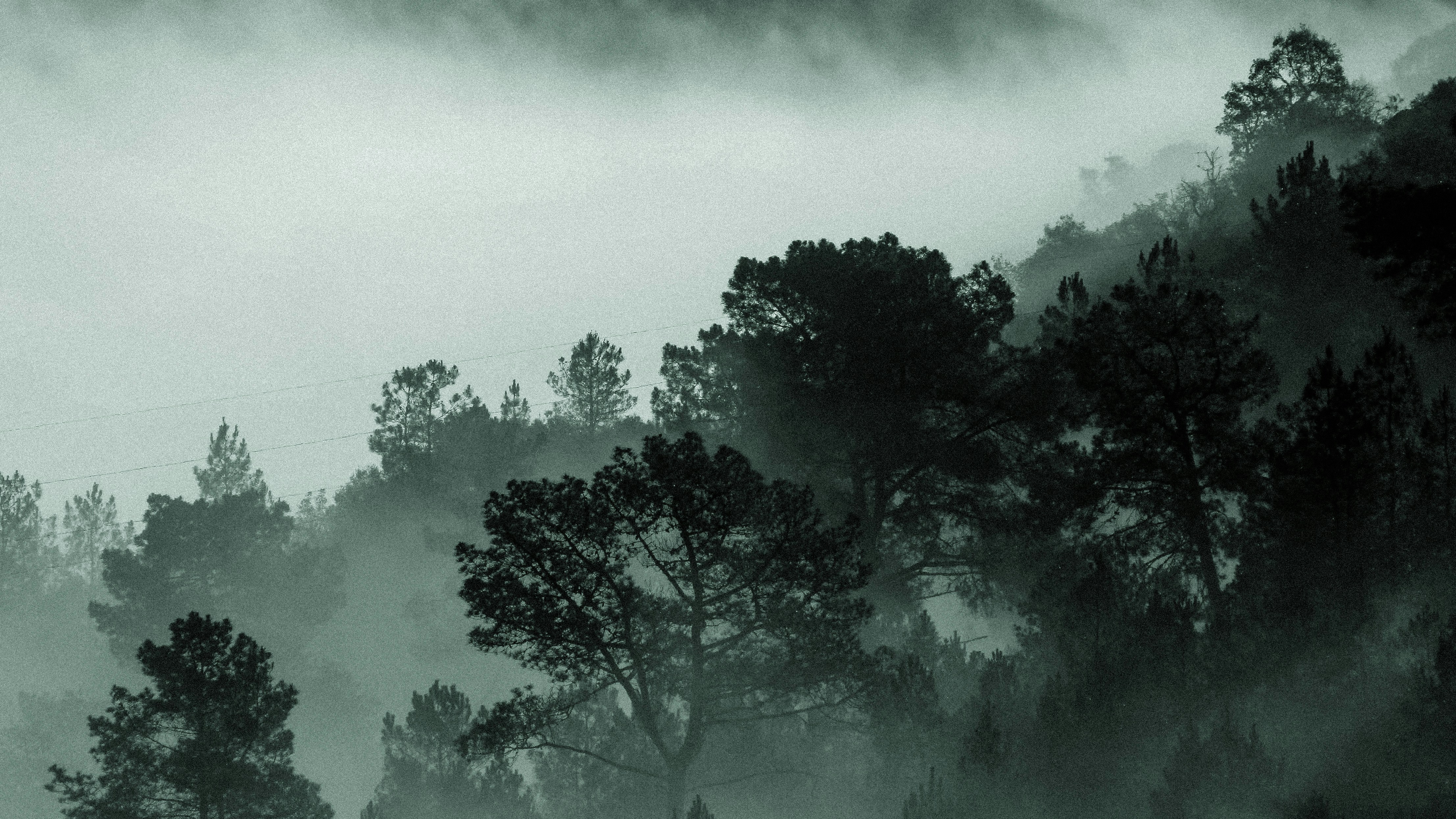 Photo by matheuscavaleiro