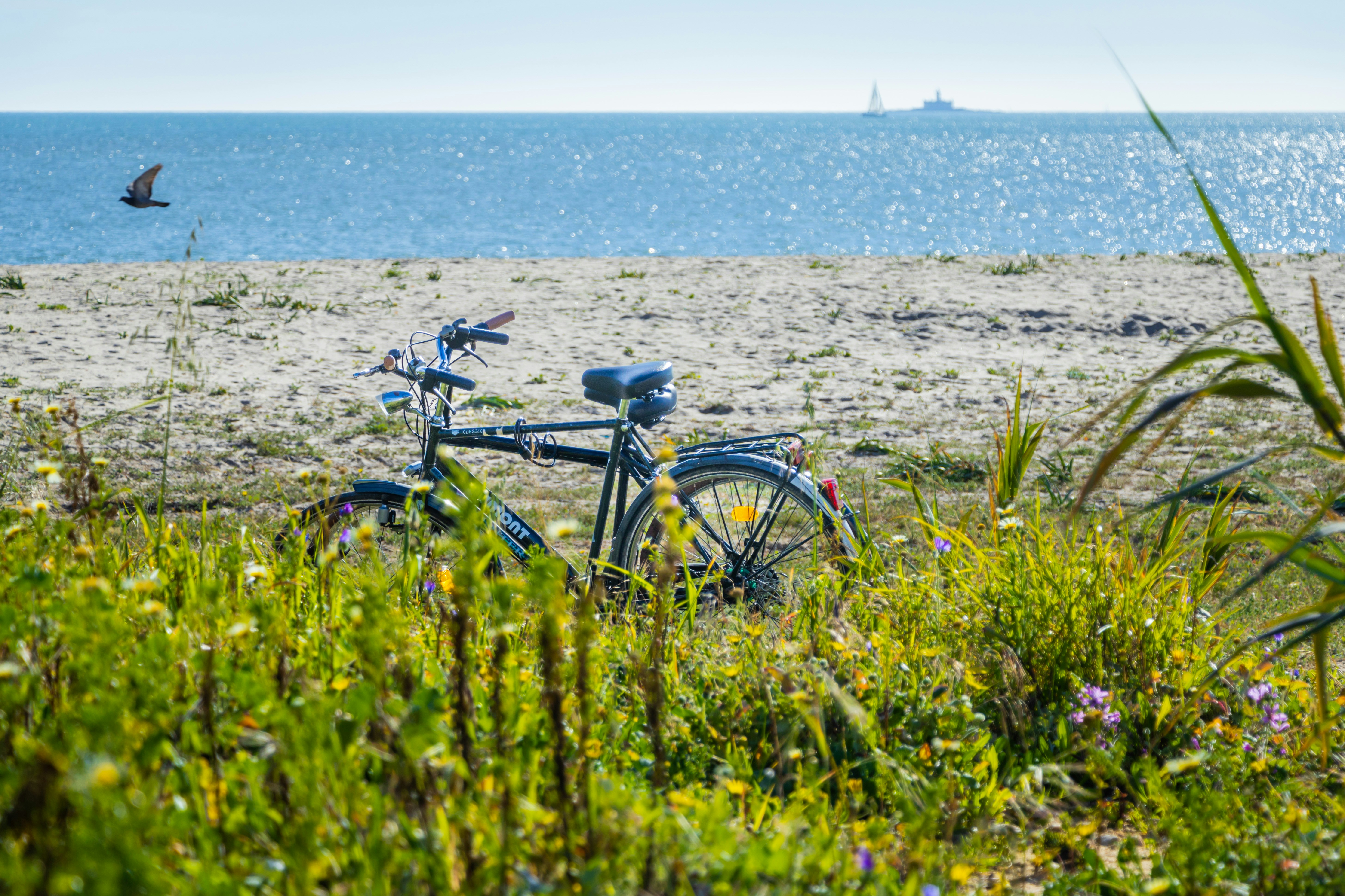 a bike is parked on the beach near the water