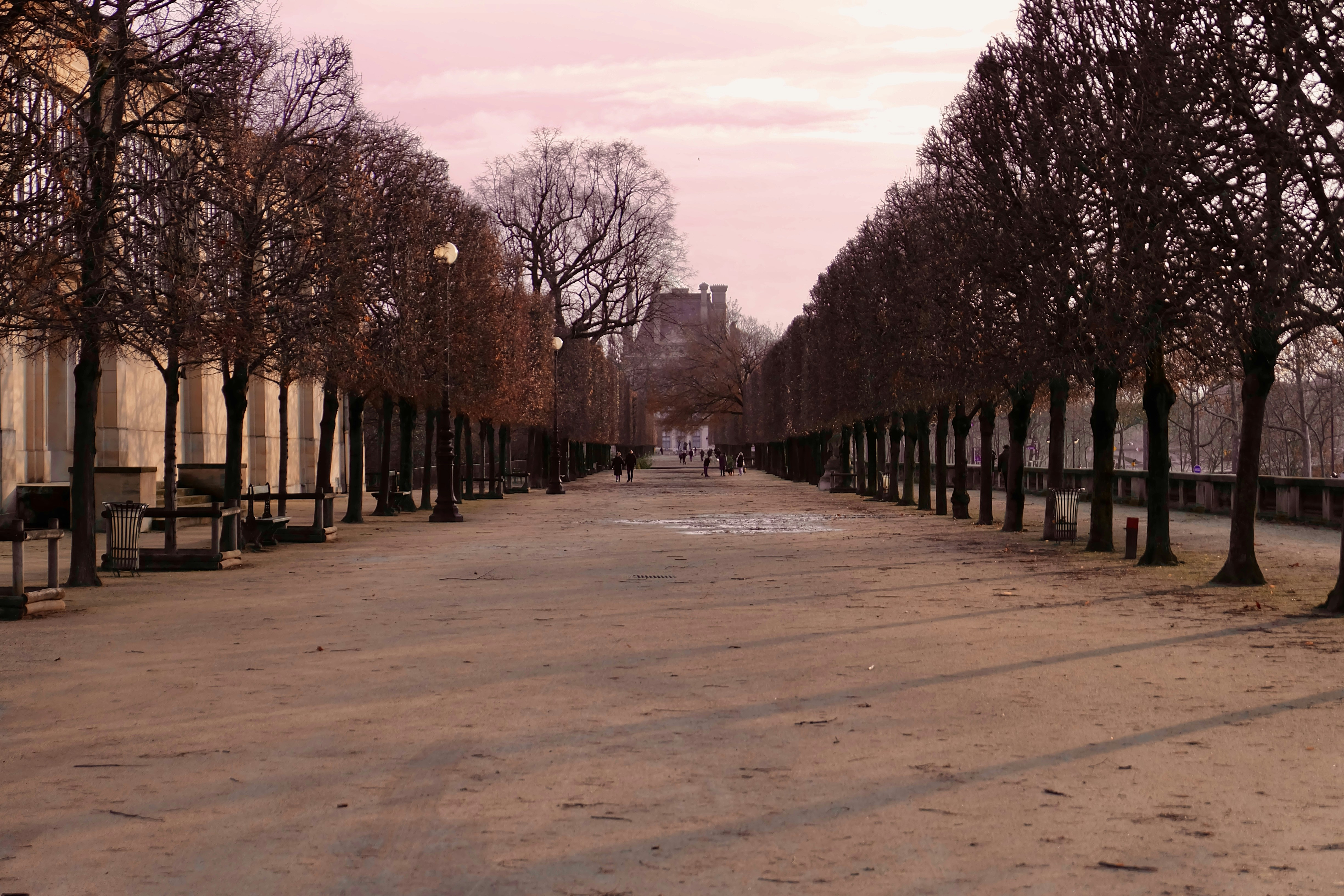 a street lined with trees and benches next to a building, Tuileries garden North alley at golden hour in winter