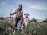 An elderly woman wearing a floral shirt and a headscarf is holding a walking stick and standing next to a goat in a grassy field. She is smiling and holding a bag in one hand. The background includes a house with a red roof and some trees under a partly cloudy sky.