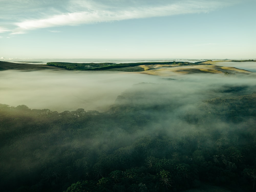 an aerial view of a foggy valley