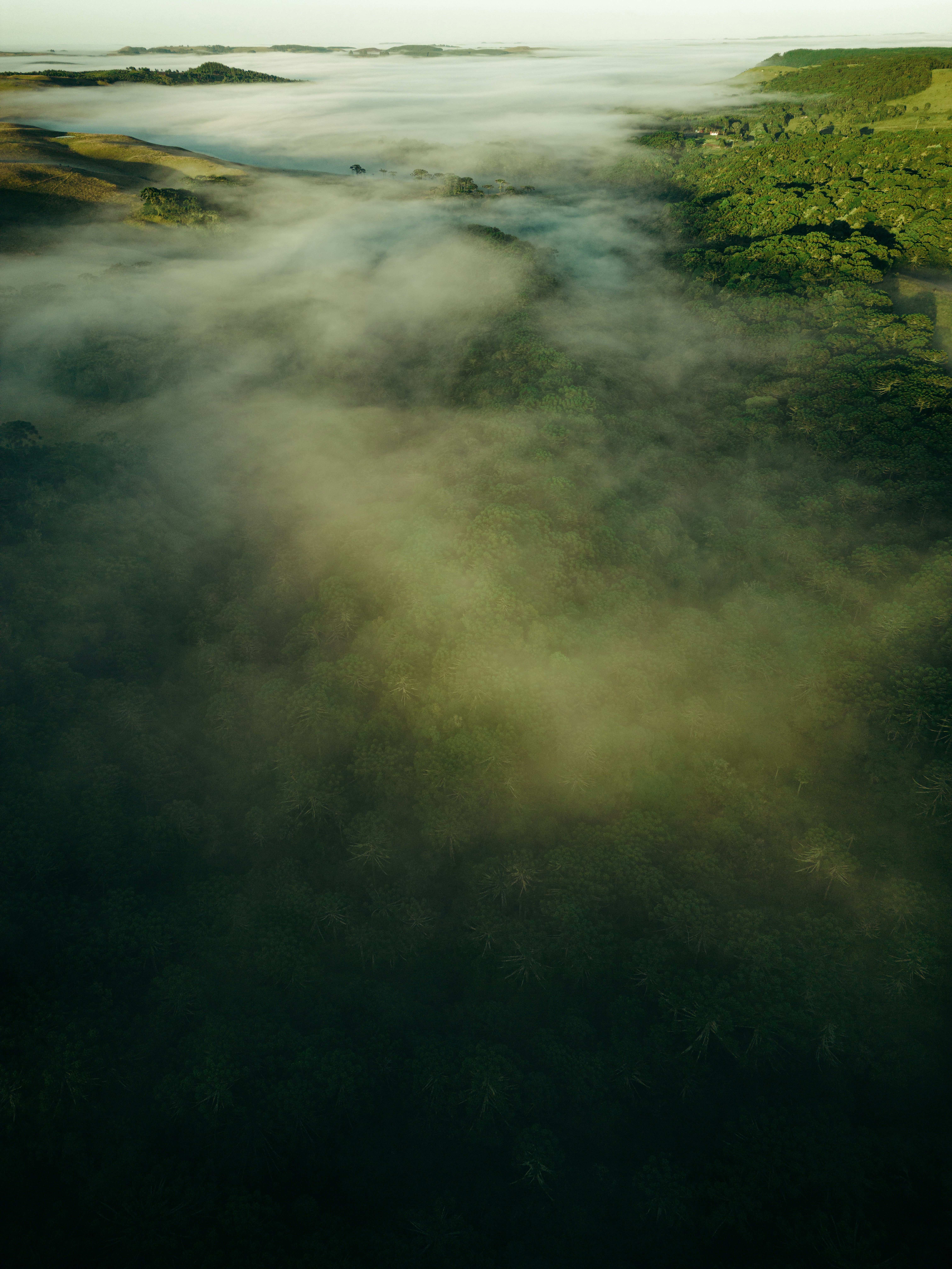 Photo by gabrieluizramos