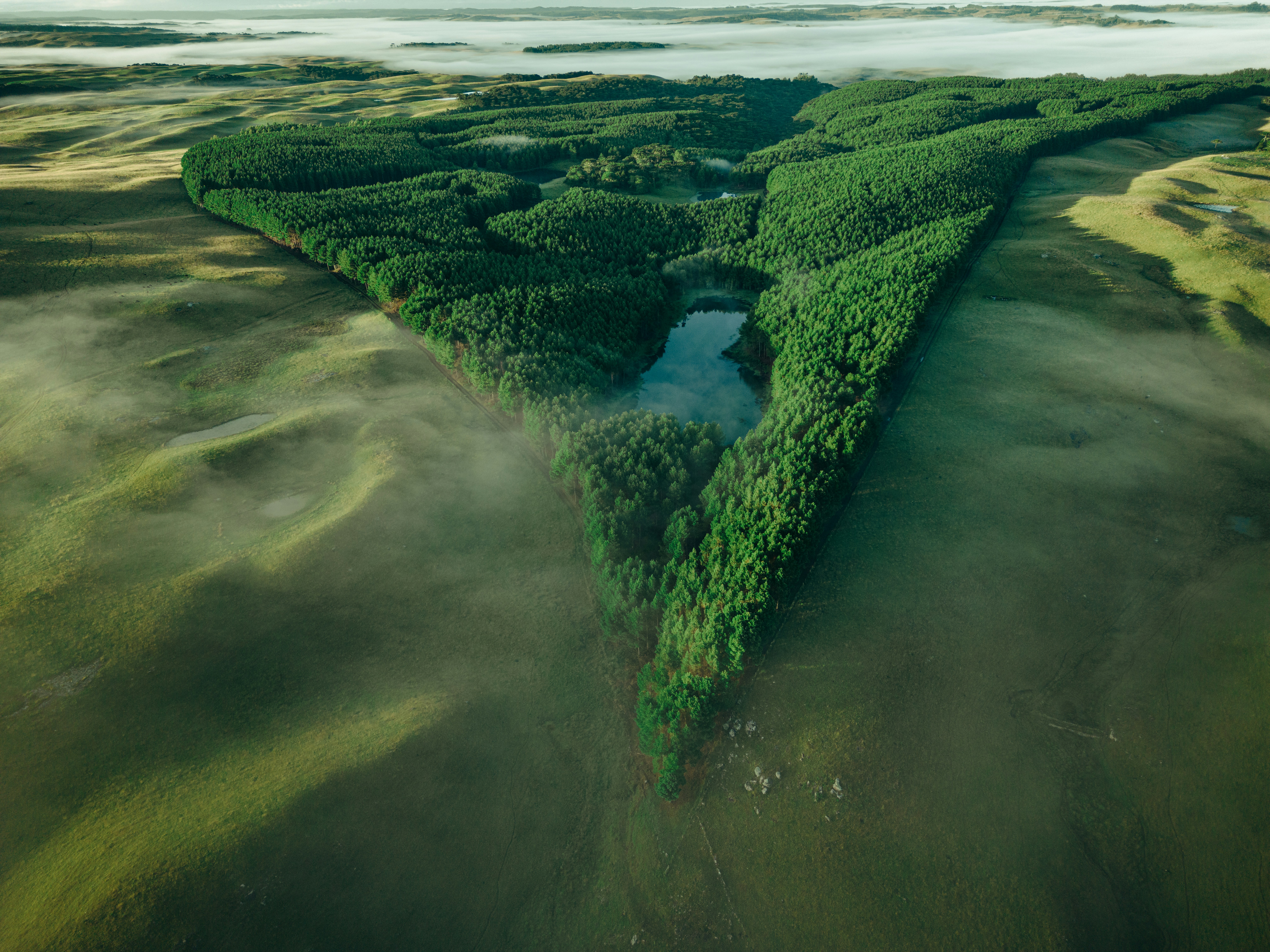 an aerial view of a river surrounded by trees