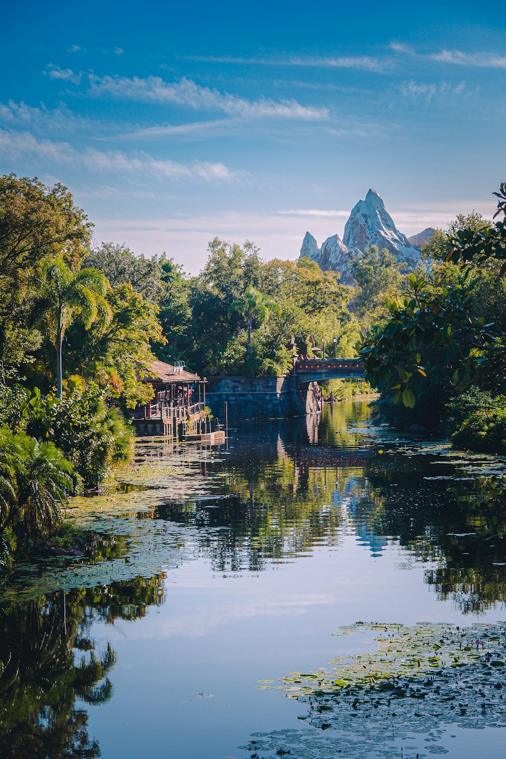 a body of water surrounded by trees and mountains