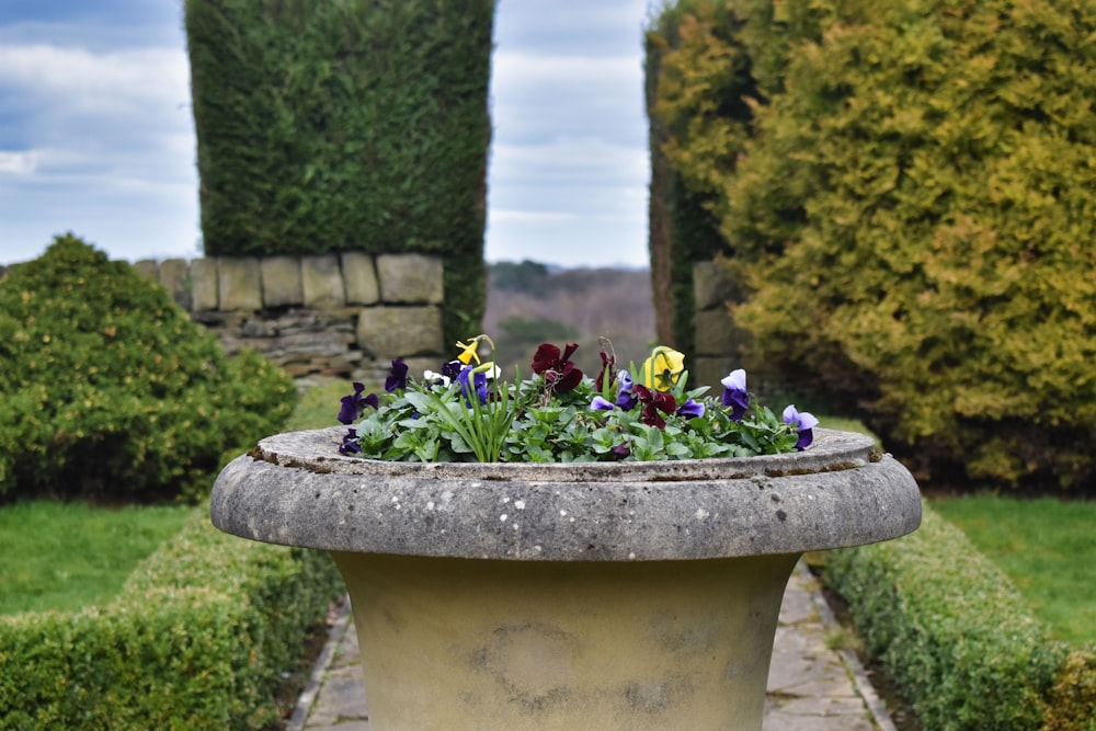 a planter filled with purple and yellow flowers