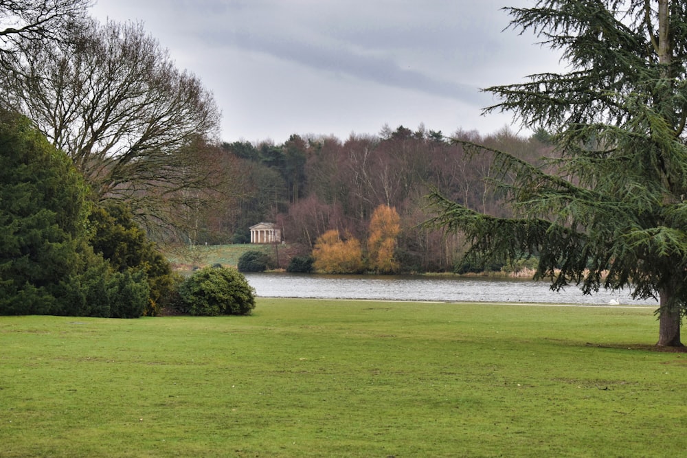 a large field with trees and a lake in the background