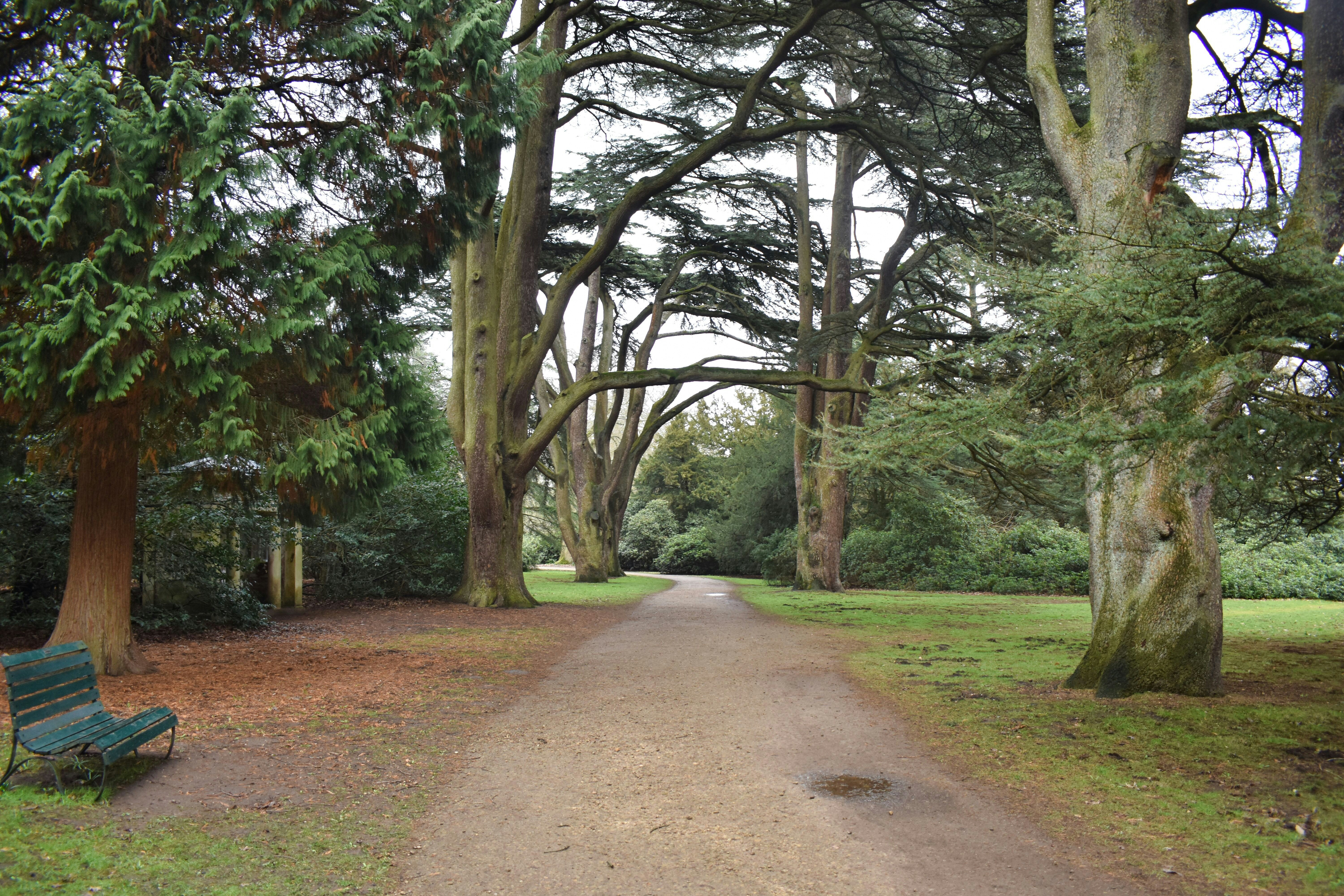 Merwood Park