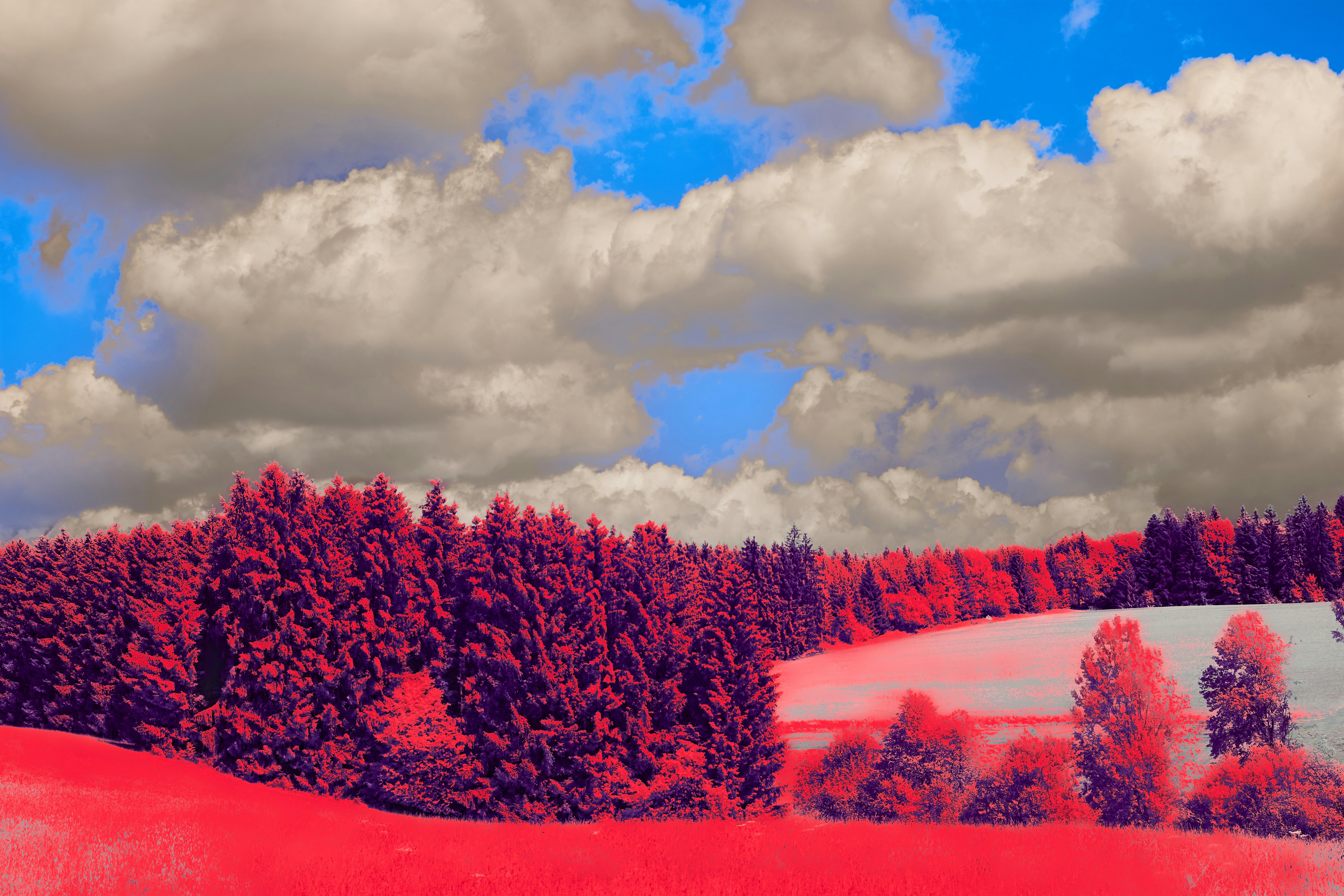 Photo by wolfgang_hasselmann