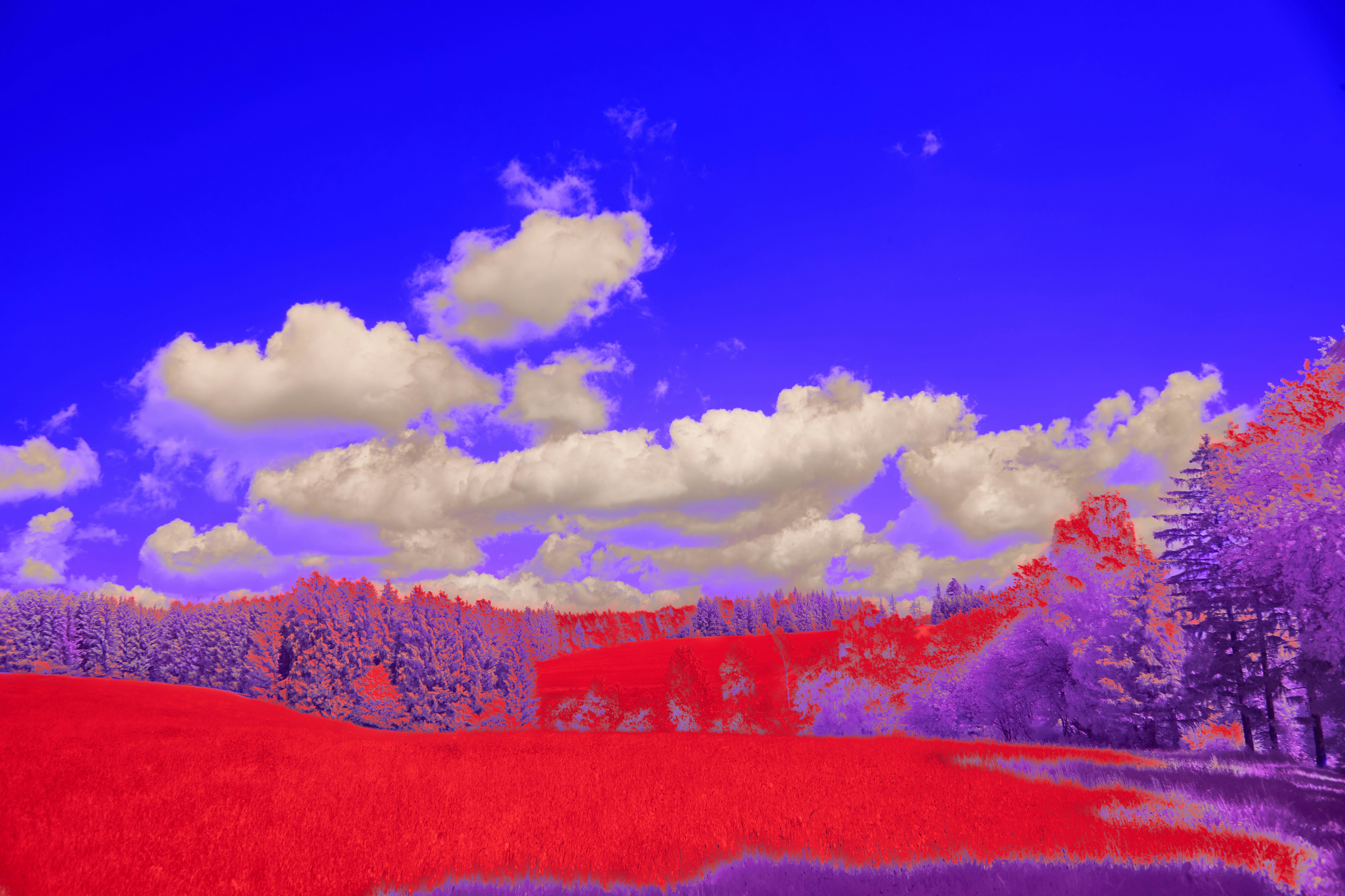 Photo by wolfgang_hasselmann