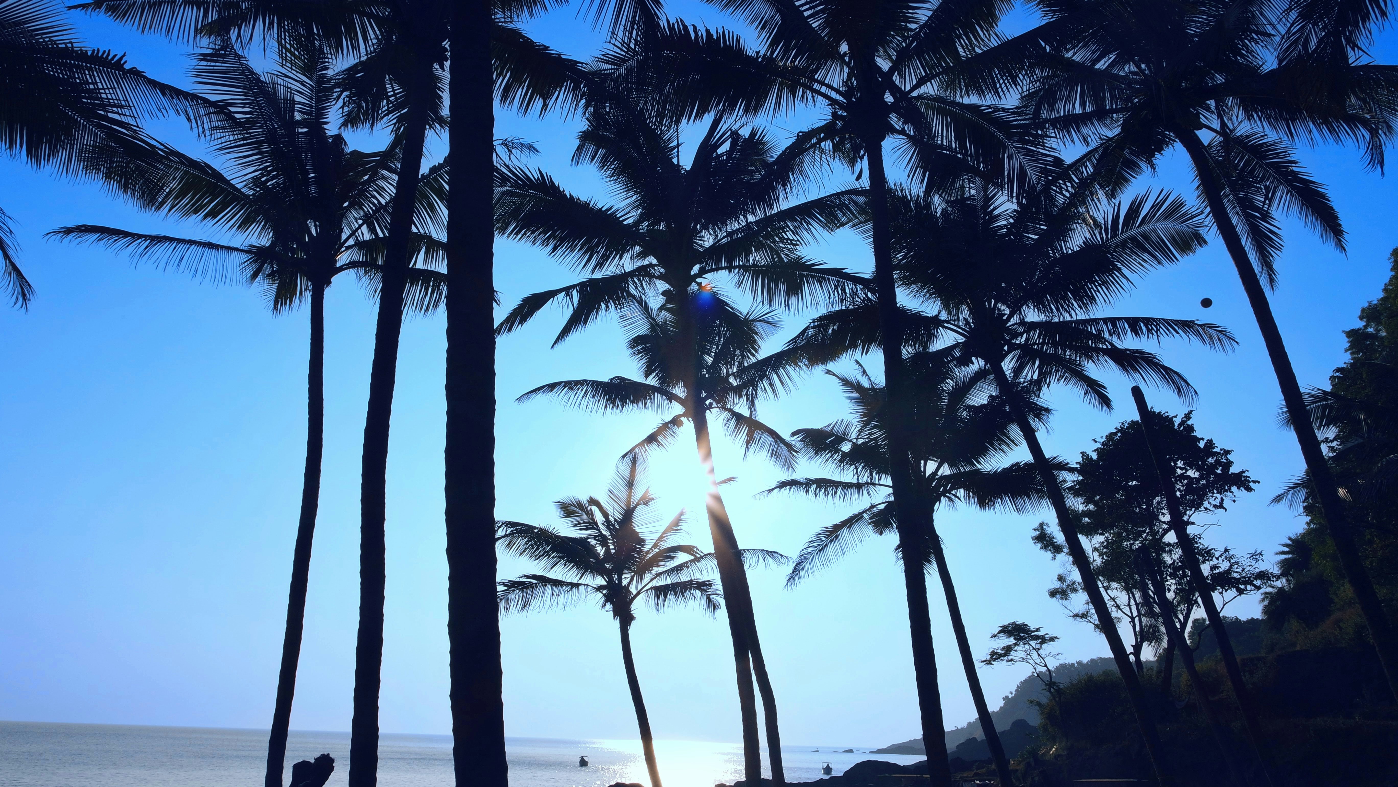 Photo by rishabhsagar