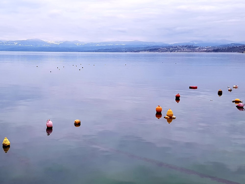 a large body of water with a bunch of buoys floating in it