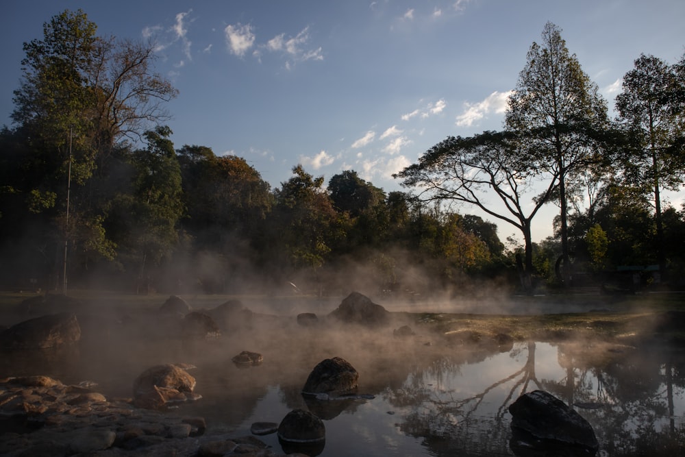 a body of water surrounded by rocks and trees