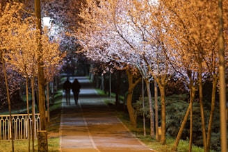 Jeremy and Winny sharing a quiet sunset stroll along a tree-lined path.