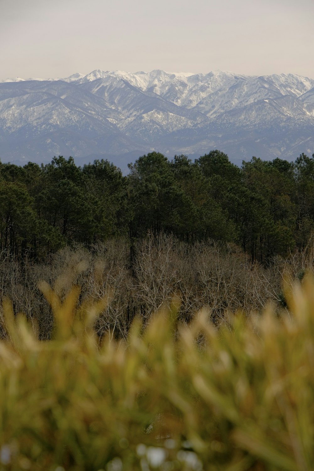 a view of a snowy mountain range in the distance