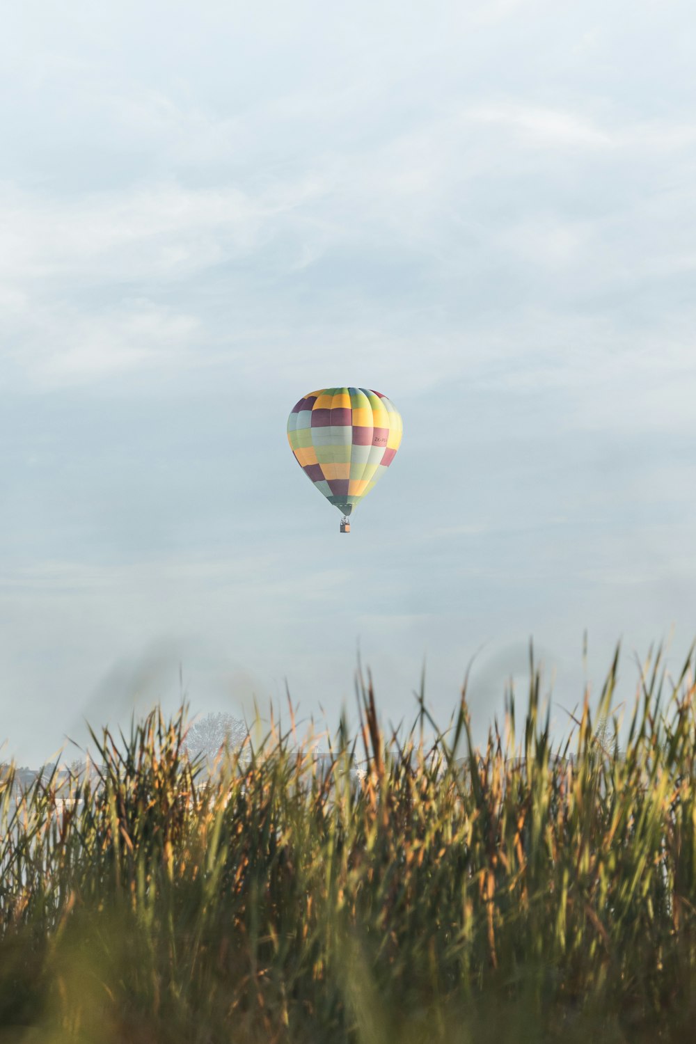 a hot air balloon flying over a field of tall grass