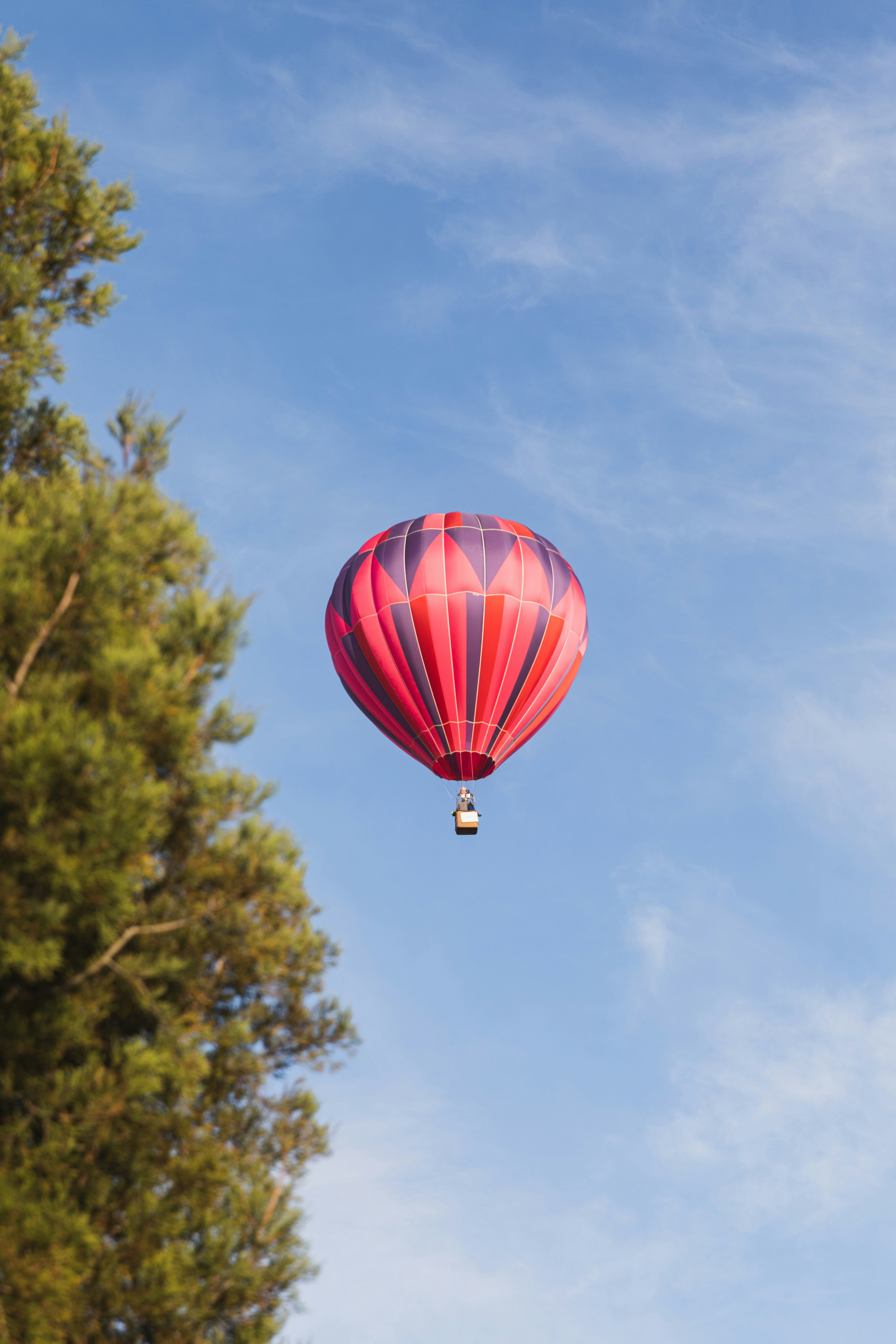 Photo by createinme_nz