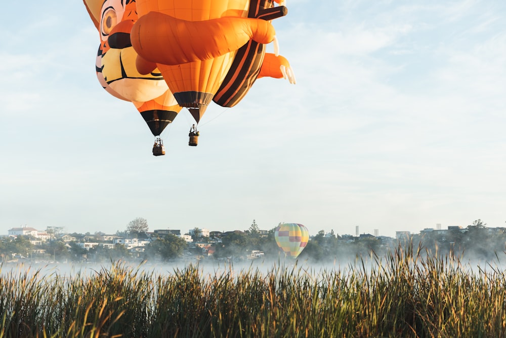 a couple of hot air balloons flying over a lake