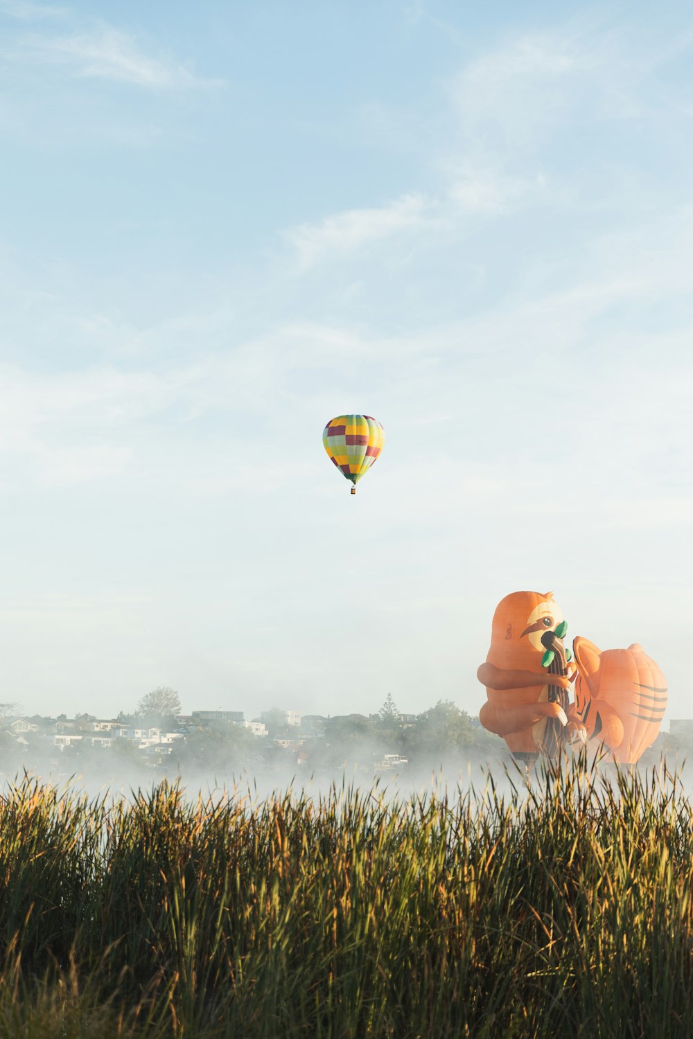 a couple of hot air balloons flying over a lush green field