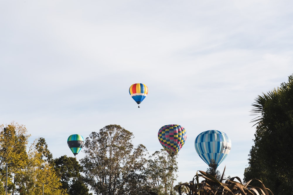 um grupo de balões de ar quente voando sobre uma floresta