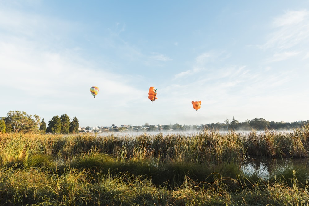 a group of people flying kites over a lush green field