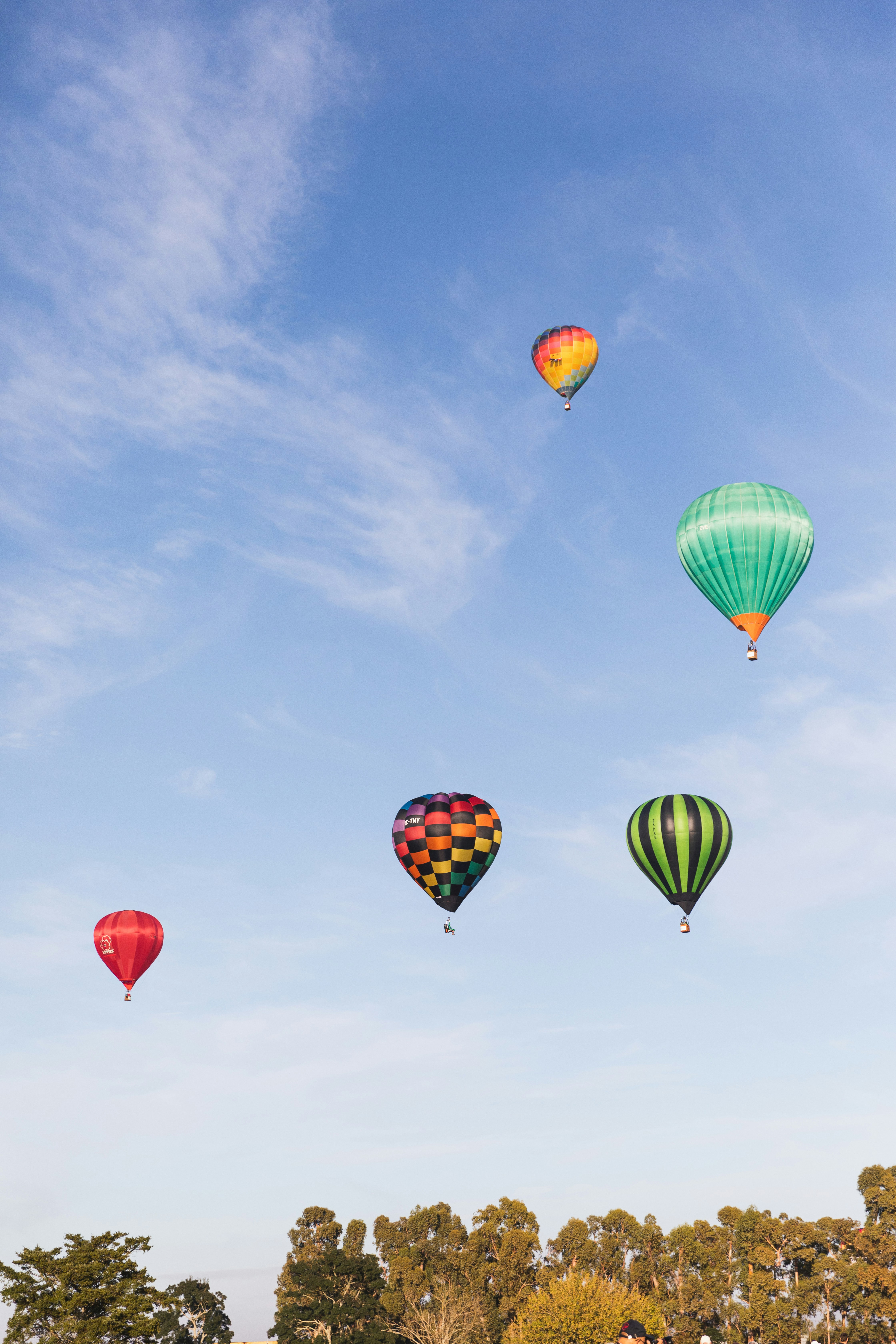 Photo by createinme_nz