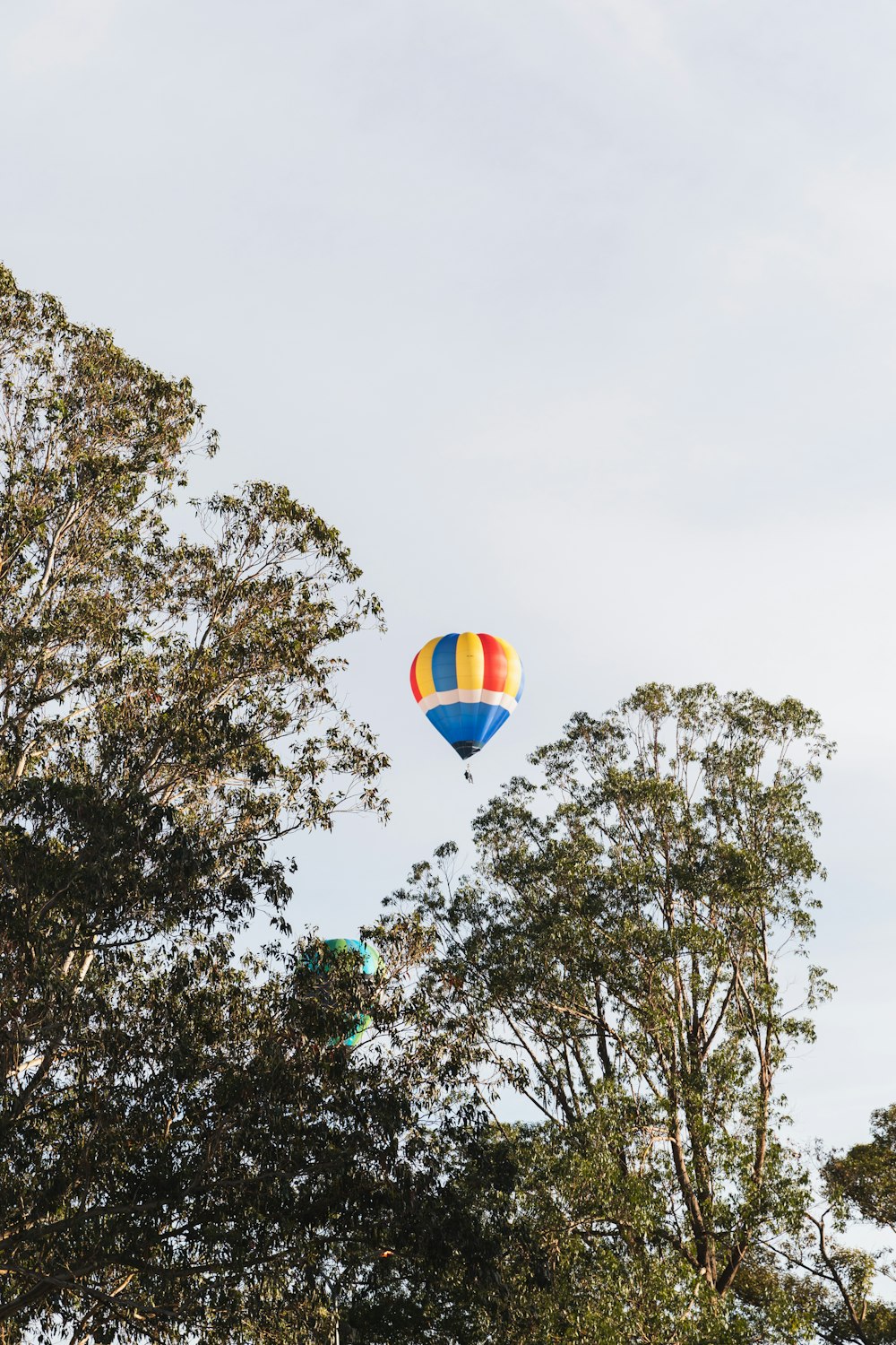 a colorful hot air balloon flying over trees