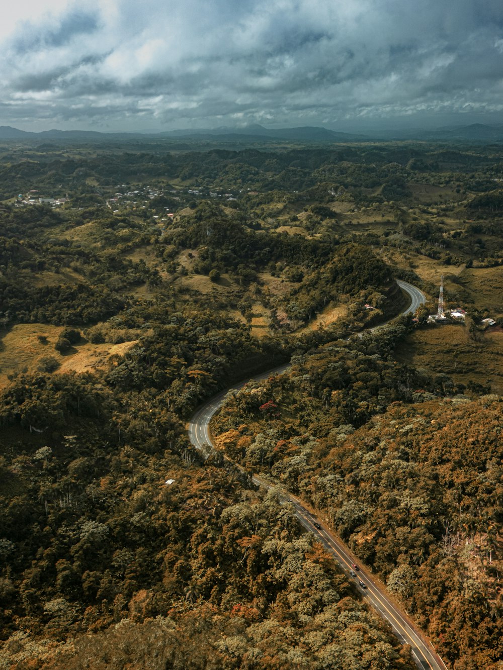 Una veduta aerea di una strada tortuosa nel mezzo di una foresta