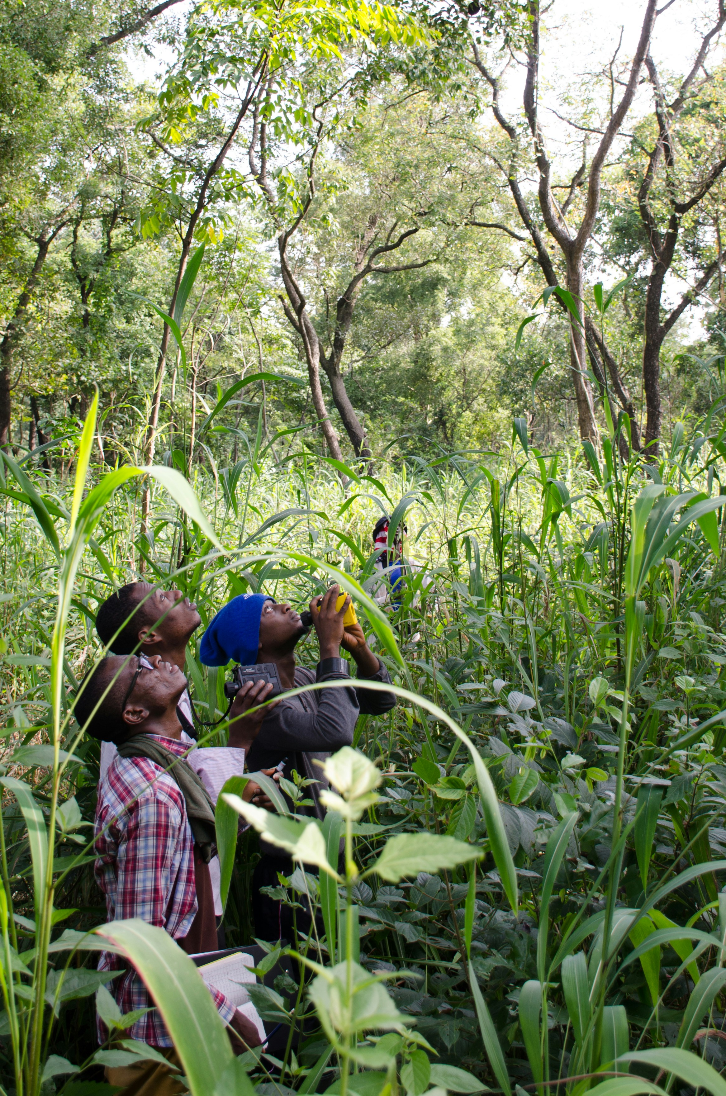 How to Build a Portable Field Lab for Citizen Science